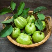 Wellhealthorganic.com:5-Amazing-Health-Benefits-Of-Guavaa