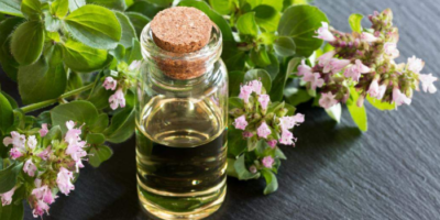 Wellhealthorganic.com:Health-Benefits-And-Side-Effects-Of-Oil-Of-Oregano