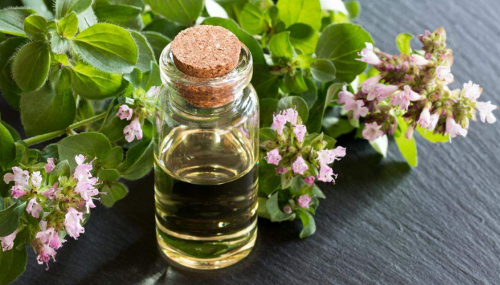Wellhealthorganic.com:Health-Benefits-And-Side-Effects-Of-Oil-Of-Oregano
