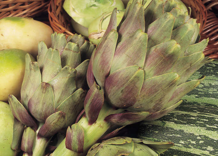Companion Planting With Artichokes